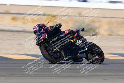 media/Jan-08-2022-SoCal Trackdays (Sat) [[1ec2777125]]/Turn 14 Outside (1050am)/